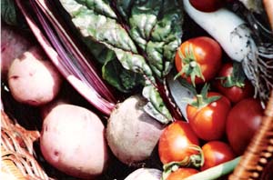 basket of vegetables